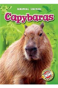 Capybaras