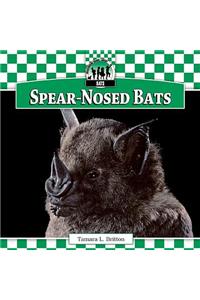 Spear-Nosed Bats