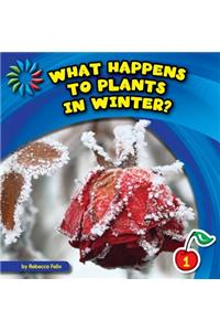 What Happens to Plants in Winter?