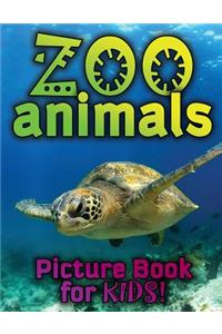 Zoo Animals Picture Book for Kids