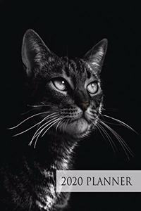 Cat 2020 Week to View Planner