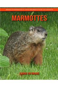 Marmottes