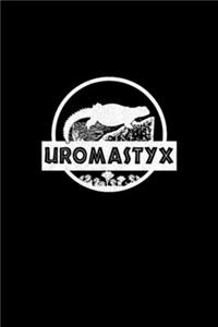 Uromastyx Desert Lizard Reptile Mali Dino Jura