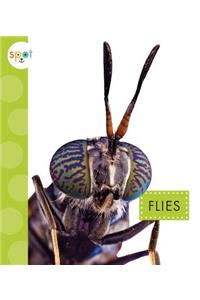 Flies
