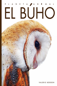 El Búho