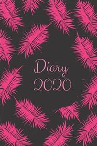 Diary 2020