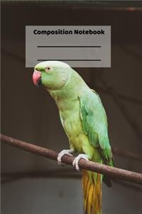 Composition Notebook