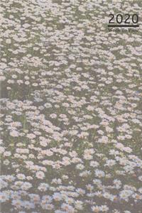 A5 2020 Diary Week To View Paperback Cover With Alternative Design -