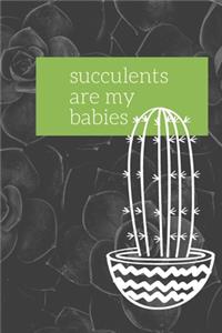 Succulents Are My Babies