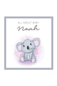 All About Baby Noah