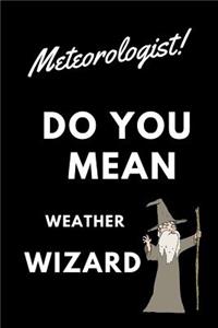 Meteorologist! Did You Mean Weather Wizard