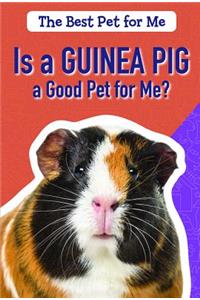 Is a Guinea Pig a Good Pet for Me?