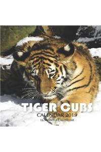 Tiger Cubs Calendar 2019