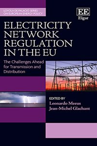 Electricity Network Regulation in the EU: The Challenges Aheadâ€Ž for Transmission and Distribution (Loyola de Palacio Series on European Energy Policy)