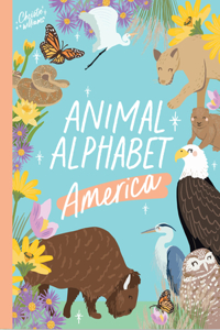 American Animal Alphabet