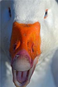 Hello Says the Goose Journal