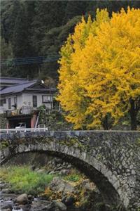 Ginkgo Tree in the Japanese Countryside Journal