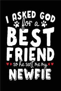 I Asked God For A Best Friend So He Sent Me My Newfie