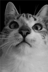 Dracula Cat Notebook