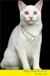 Mekong Bobtail Cat Presents