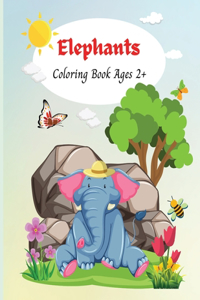 Elephants