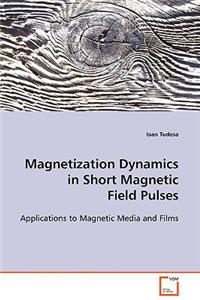 Magnetization Dynamics in Short Magnetic Field Pulses