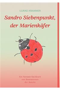 Sandro Siebenpunkt, der Marienkäfer