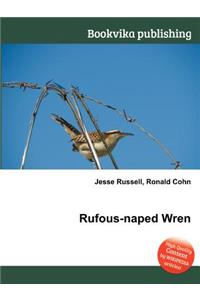Rufous-Naped Wren