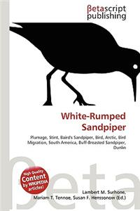 White-Rumped Sandpiper