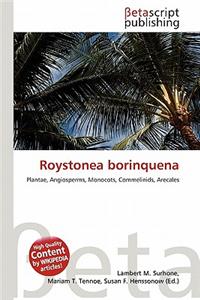 Roystonea Borinquena
