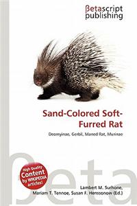 Sand-Colored Soft-Furred Rat