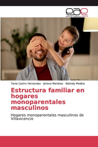 Estructura familiar en hogares monoparentales masculinos