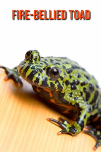 Fire-Bellied Toad