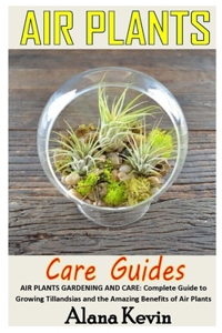 Air Plants Care Guides