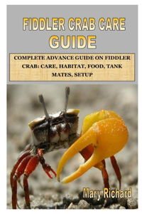Fiddler Crab Care Guide