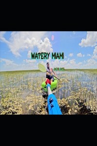Watery Miami