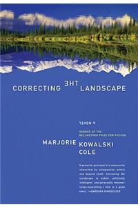 Correcting the Landscape