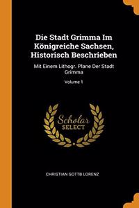 Die Stadt Grimma Im Konigreiche Sachsen, Historisch Beschrieben