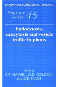 Endocytosis, Exocytosis and Vesicle Traffic in Plants