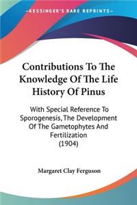 Contributions To The Knowledge Of The Life History Of Pinus