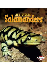 Salamanders