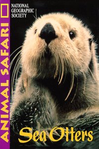 Animal Safari - Sea Otters