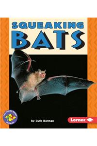 Squeaking Bats