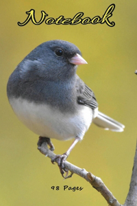 Notebook bird - friendly