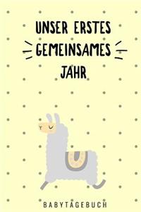 Unser Erstes Gemeinsames Jahr Babytagebuch