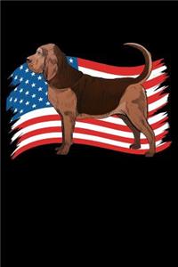 Bloodhound Dog US Flag
