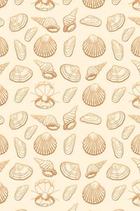 Sea Shells