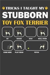 Toy Fox Terrier Journal