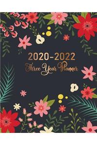 2020-2022 Three Year Planner