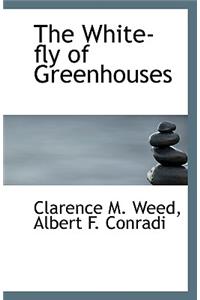 The White-Fly of Greenhouses